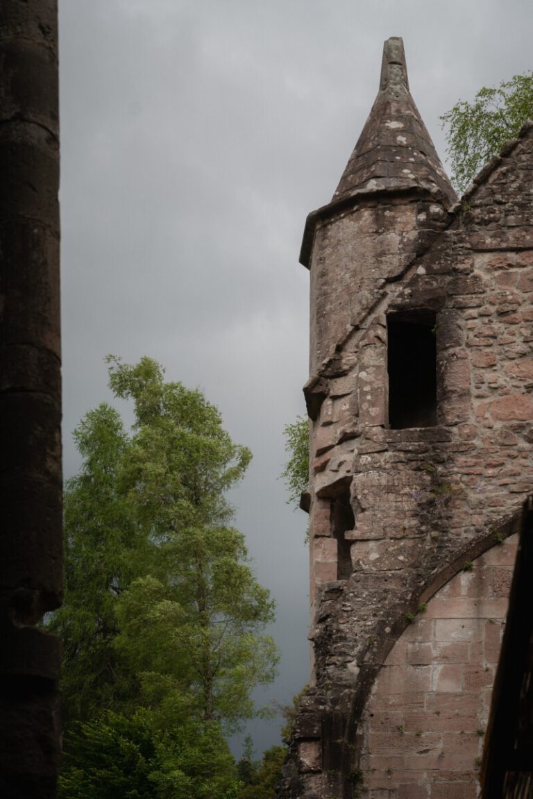 Die Hexe vom Haldenhof 2025 - Impressionen