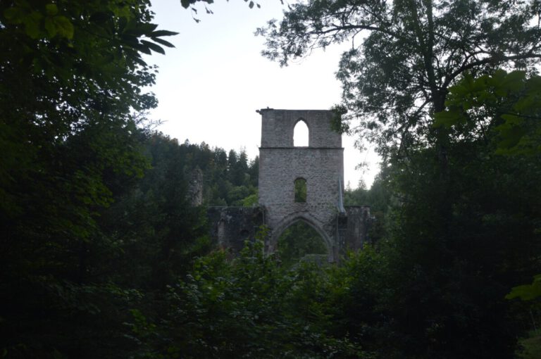 Die Hexe vom Haldenhof 2025 - Impressionen